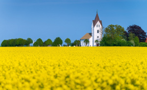 Trelleborg är Sveriges sydligaste stad. Trelleborg har en vacker landsbygd med många kyrkor.