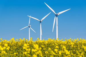 Arbete kring el och energi bedrivs på flera olika ställen inom kommunen.