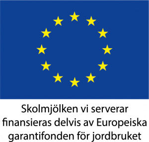 Bild på EU:s logotype