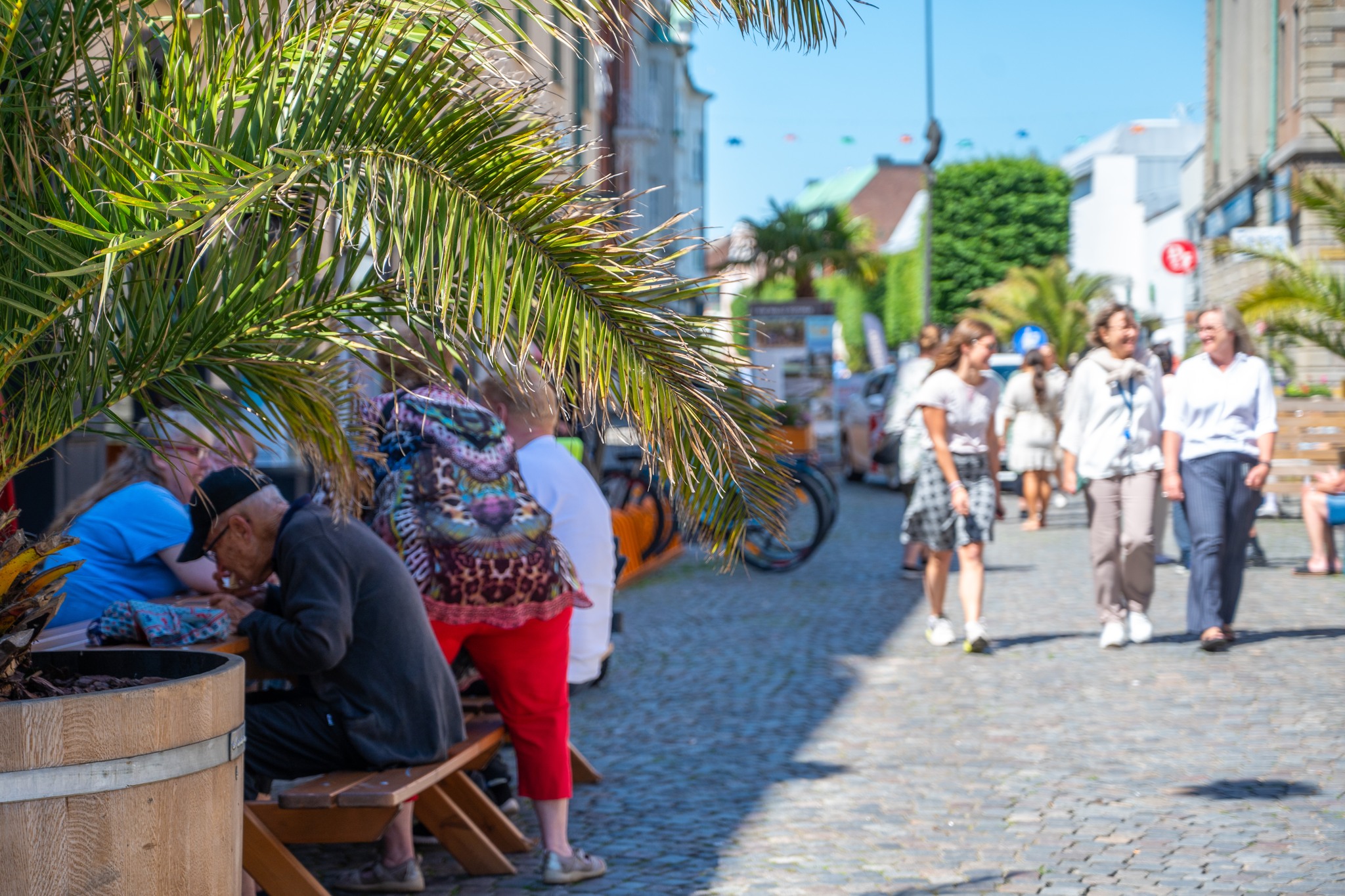Palm, kullersten och människor på sommargatan.