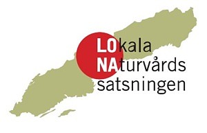 LONA logotyp