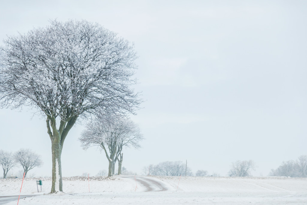 Bild på snöklätt Söderslättslandskap med mindre väg och snöklädda träd.